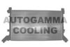 AUTOGAMMA 101393 Radiator, engine cooling